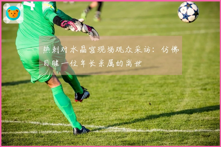 热刺对水晶宫现场观众采访：仿佛目睹一位年长亲属的离世