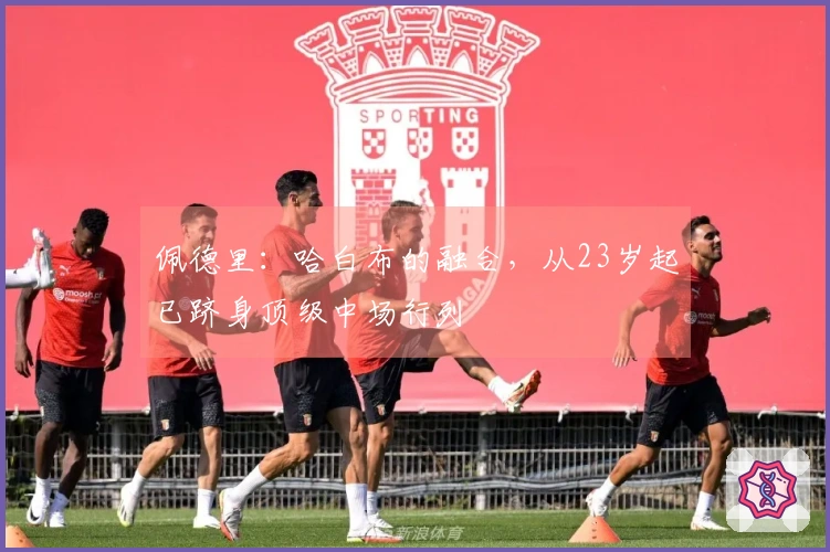佩德里：哈白布的融合，从23岁起已跻身顶级中场行列